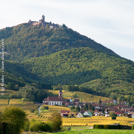 Le château du Haut Koenigsbourg domine les vignobles et villages de la route du Vin d'Alsace