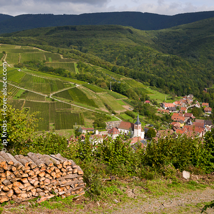 Le vignoble de montagne du village d'Albé dans le Val de Villé. Juste de l'autre côté du massif de La Vancelle…